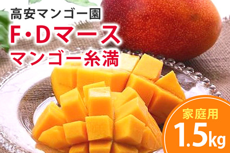 【 先行予約 2026年 発送】高安マンゴー園 家庭用 F・Dマースマンゴー糸満 1.5kg (3～6玉) 沖縄県産 マンゴー アップルマンゴー アーウィンマンゴー 完熟マンゴー 果物 くだもの フルーツ 沖縄 お取り寄せ 特産品 甘い 産地直送 農家直送 糸満市 96-1