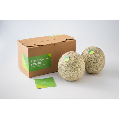 【ふるさと納税】KOTARO-BRAND イバラキングメロン 4Lサイズ　2玉【配送不可地域：離島・沖縄県】【1723724】