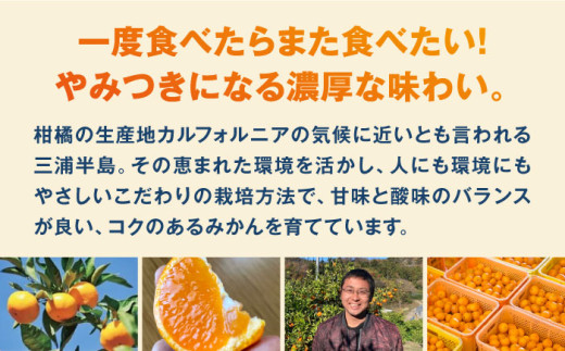 【選べる容量！】温州みかん Sサイズ 津久井浜みかん 蜜柑 ミカン 果物 柑橘 みかん フルーツ 横須賀【志村農園】 [AKGH001]