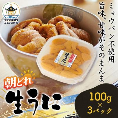 ふるさと納税 山田町 【無添加】三陸山田 生うに 【先行予約】100g×3パック 令和9年5月中旬以降発送 ウニ