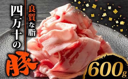 豚肉 切り落とし 600g 豚スライス豚スライス豚スライス豚スライス