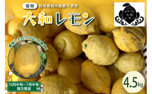 栽培期間中農薬不使用　大和レモン 4.5kg  新鮮 発送日に収穫 檸檬 レモン 果物 くだもの フルーツ ビタミンC 送料無料 広島県 呉市