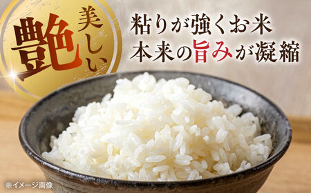 【令和7年度】 くまさんの輝き 白米 10kg (1袋) 【TKCラボ（辻米クラブ研究所）】[AYDI002]