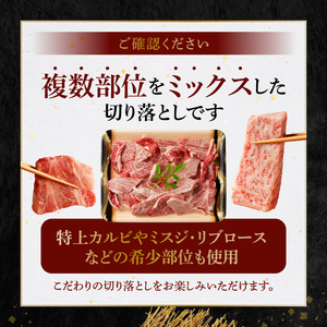 S001-026A_黒毛和牛 焼肉 カルビ ロース 切り落とし 500g A4 ～ A5