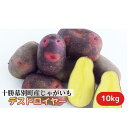 【ふるさと納税】十勝幕別町産じゃがいも10kg（デストロイヤー）【渡邊農場】[2024年11月出荷開始]　野菜・じゃがいも・ジャガイモ・10kg　お届け：2024年11月1日～2024年11月30日まで