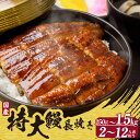 【ふるさと納税】国産 特大うなぎ 長焼き 【選べる尾数 1尾 約250g 】備長炭で焼きました 日本産うなぎ 真空パック 鰻 ふっくら ぱりぱり 和食 高級食材 グルメ お取り寄せ 特大サイズ 美味しい 日本食 土用丑の日 送料無料