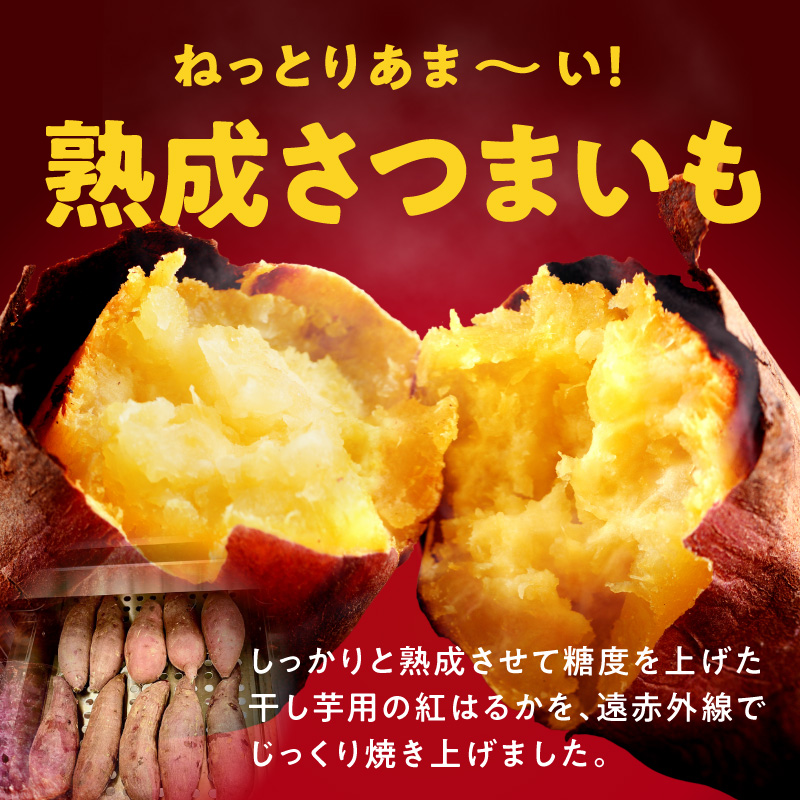 【定期便】干し芋屋の焼き芋 約2kg 紅はるか 全2回 【2026年4月＆2026年7月発送】 099Z501