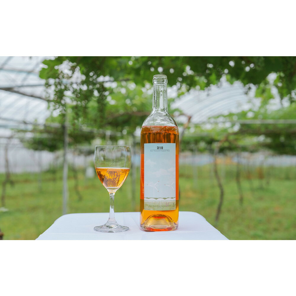 【ふるさと納税】310農園・日本ワイン（デラウエア/オレンジワイン）750ml | ワイン オレンジワイン 酒 お酒 さけ 750ml オレンジワイン750ml