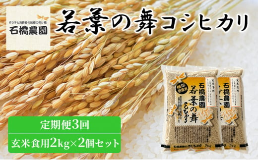 米 若葉の舞 コシヒカリ 玄米食用2Kg×2個セット 定期便3回 こしひかり セット 定期便 お米 玄米 千葉 千葉県 低温保存 [№5346-0850]