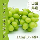 【ふるさと納税】【2025年先行予約】やみつきシャインマスカット 1.5kg(3～4房)【配送不可地域：離島・沖縄県】【1304377】