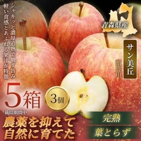 【青森直送 季節の味覚をお届け!】サン美丘 3個入×5箱(贈答用)青森産 産地直送 限定生産【配送不可地域：離島】【1700958】