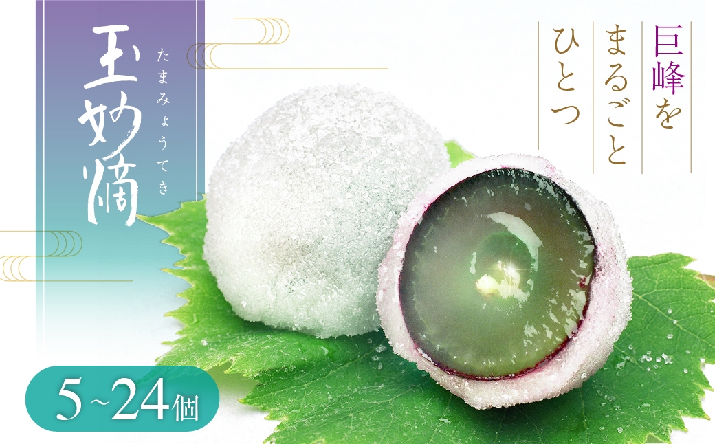 
                  玉妙滴 5個入 12個入 16個入 24個入 スイーツ 和菓子
                
