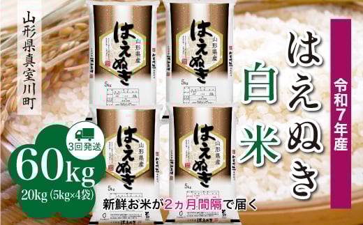 
            ＜令和7年産米＞ はえぬき 【白米】 定期便 60kg （20kg×２ヶ月間隔で3回お届け）＜配送時期指定可＞　山形県真室川町
          