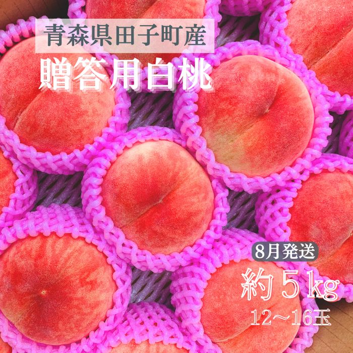【ふるさと納税】【贈答用】 田子町産白桃 約5kg（12～16玉） 8月出荷　果物　もも　桃　フルーツ　お届け：8月10日〜9月10日まで