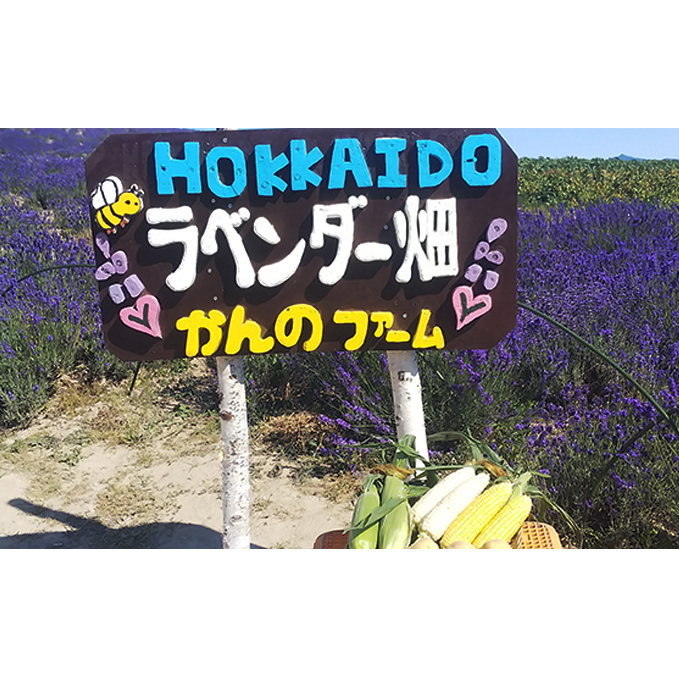 【2024年発送】かんのファーム産 とうもろこし 食べ比べ 20本 セット(じゃがいも付) 北海道 上富良野町 とうもろこし トウモロコシ セット じゃがいも ジャガイモ 先行受付