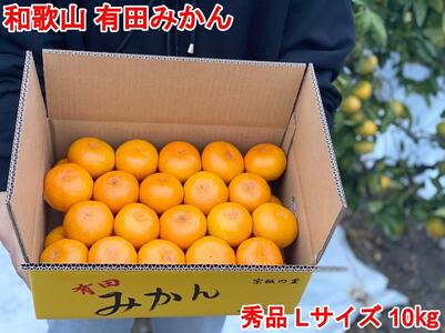 ［秀品・サイズL］和歌山有田産！早生みかん≪10kg≫［予約販売］［数量限定］まる隆果樹園