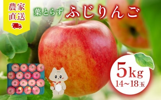 【先行予約】《2026年12月上旬～12月下旬出荷》宮城県丸森町産　葉とらずふじりんご　14～18個入り（約5kg）　1箱 | ふじりんご ふじ 林檎 リンゴ フルーツ 果物 農家直送 蜜入り 甘い 旬 デザート 健康 もぎたて 採れたて ギフト 贈答 家庭用 贈り物 フレッシュ お取り寄せ 宮城県 丸森町 丸森【48001】