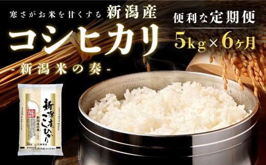 
                  新潟産コシヒカリ 6か月 5kg 定期便令和8年産 こしひかり定期便 新米 新潟県 新潟市
                