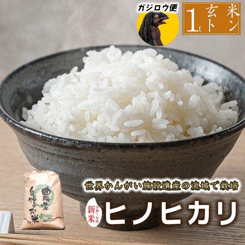 【ふるさと納税】【 玄米 数量限定 選べる配達員】令和7年産 ヒノヒカリ 八千種米 お米 約1トン 約1000kg ごはん 米 兵庫県産　世界かんがい施設遺産登録『西光寺野疏水路』