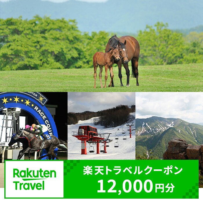 【ふるさと納税】北海道日高町の対象施設で使える楽天トラベルクーポン寄付額40,000円（クーポン額12,000円）《寄付翌日を目途に付与いたします》