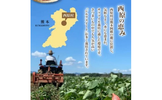 サイズが選べる 西原村産 紅琥珀スイートⓇ(シルクスイート) 約3kg箱