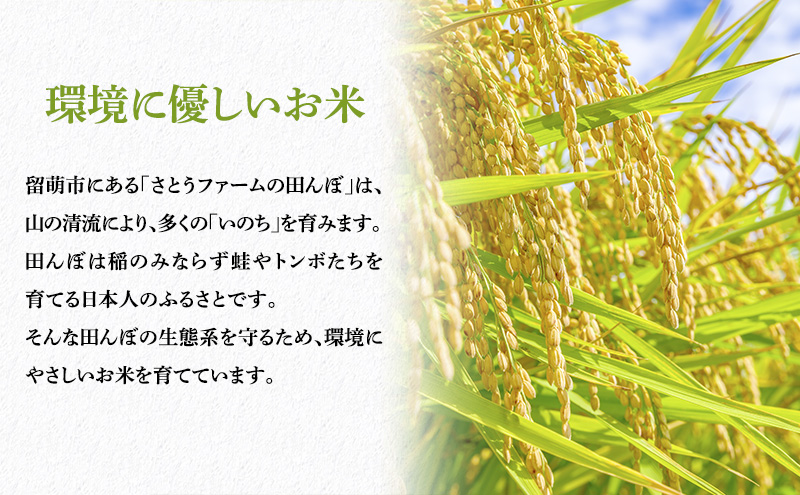 米 米-1グランプリ金賞 定期便 6ヶ月 北海道 ゆめぴりか 玄米 10kg 南るもい産 お米 こめ コメ おこめ ふるさと納税米 ふるさと 南るもい さとうファーム 留萌 定期 お楽しみ 6回