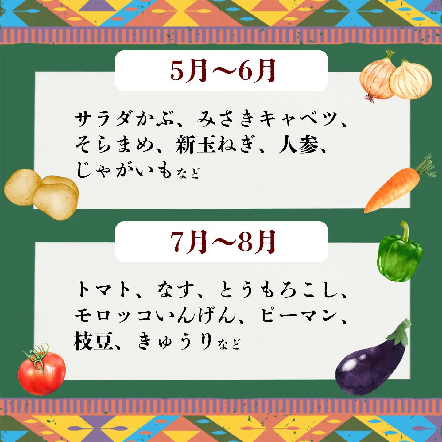 野菜 無農薬 農園自慢の情熱野菜セット 11種 【 4ヶ月 連続 お届け 】