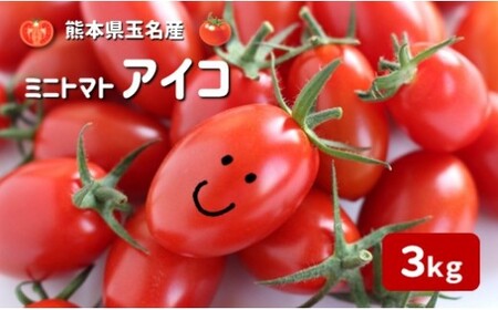 『かめまる農園』ミニトマト アイコ 3kg | 野菜 トマト とまと ミニトマト プチトマト 熊本 玉名 熊本県 玉名市産