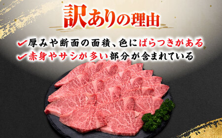 【訳あり】 博多和牛 ヒレ 焼肉用 600g 吉富町/久田精肉店株式会社[BGAM012]