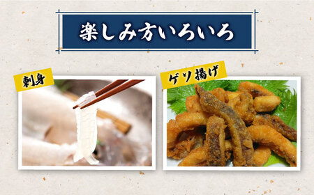 対馬産 アオリイカ 600g《対馬市》【保家商事】烏賊 いか 刺身 海鮮 冷凍[WAA028]