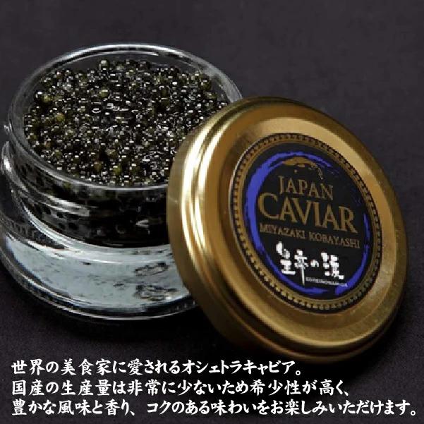 【A227】【純国産キャビア】オシェトラキャビア 20g 皇帝の涙 国産 チョウザメ 魚卵 宮崎県_イメージ3