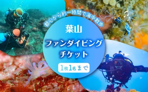 葉山ダイビング　ビーチエントリー2ダイブ　チケット ／ 葉山 ダイビング マリンスポーツ 神奈川 レジャー 体験型返礼品 チケット 手ぶら 自然 海 神奈川県【ダイビングショップNANA】 [ASAM001]