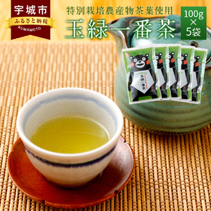 緑茶 お茶 茶葉 100g×5袋セット くまモン 玉緑一番茶 100g×5袋セット
