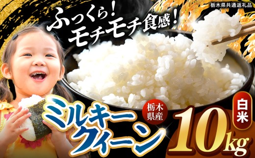 【先行予約】令和8年度産 白米 約10kg ミルキークイーン | 真岡市産 米 お米 こめ 白米 ご飯 ごはん もちもち ミルキークイーン 限定 ふるさと納税  栃木県 真岡市 送料無料