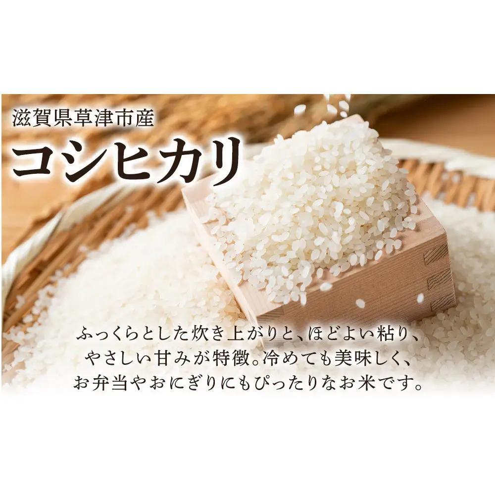 【ふるなびWEEK対象】令和7年産　近江米コシヒカリ（玄米）5kg×3　計15kg 