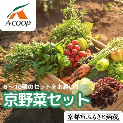 ふるさと納税 京都市 【エーコープ京都中央】おまかせ京野菜セット