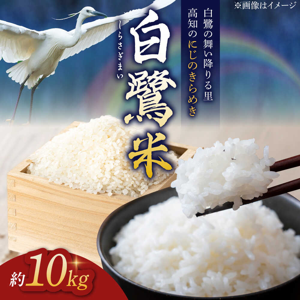 【ふるさと納税】【先行予約】 農薬節減！ R7年度産 白鷺米 にじのきらめき 約10kg ＜2025年9月中旬〜発送＞ / 高知 米 お米 精米 　【津ノ宮農園】[ATBV016]