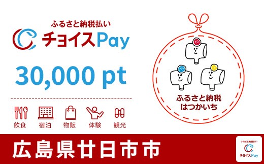 
                  廿日市市チョイスPay 30,000pt【会員限定のお礼の品】
                