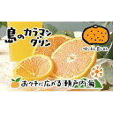 【ふるさと納税】 【2025年5月上旬から発送】 完熟 春 みかん カラマンダリン 3kg M~2Lサイズ 約18~28玉 愛媛 中島産 | 蜜柑 柑橘 果物 くだもの フルーツ 美味しい お取り寄せ グルメ 人気 おすすめ 愛媛県 松山市