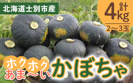 【A7084】北海道士別産 かぼちゃ（計4㎏・2～3玉）【先行予約受付中！9月下旬以降、準備ができ次第順次発送】北海道産 国産 カボチャ 南瓜 野菜 煮物 サラダ 天ぷら 甘い 味覚の秋 【吉方農園】