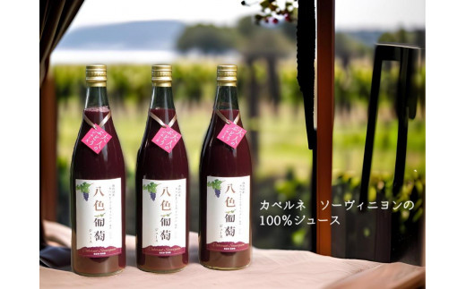 
カベルネ・ソーヴィニヨン　八色葡萄ジュース３本セット
