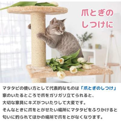 ふるさと納税 みやき町 またたび (純粉末)国産天然100% 【手作り】_SS178 |  | 03
