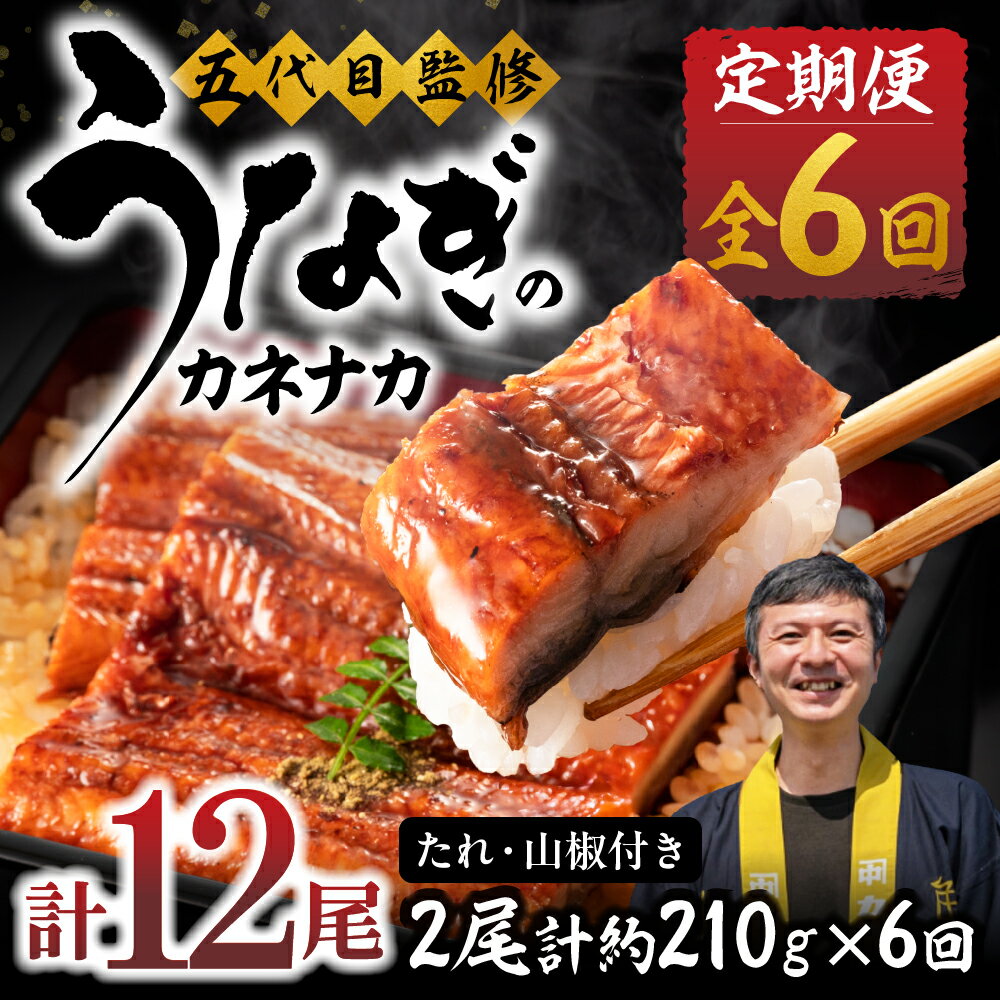 【ふるさと納税】≪定期便・全6回≫国産若うなぎ 2尾セット｜うなぎ 定期便 鰻 国産 国産うなぎ タレ付 ウナギ 蒲焼 かば焼き 丑の日 うな重 うな丼 ひつまぶし 冷凍 誕生日 お祝い 内祝い お中元 お歳暮 6回お届け 6ヶ月 6回 愛知県 豊橋市
