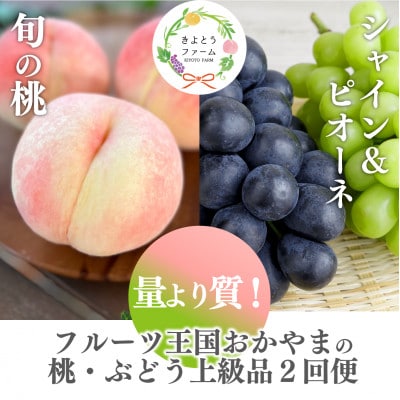【発送月固定定期便】【きよとうファーム】量より質!桃とピオーネ＆シャインの定期便(岡山県産)全2回【配送不可地域：離島・北海道・沖縄県】