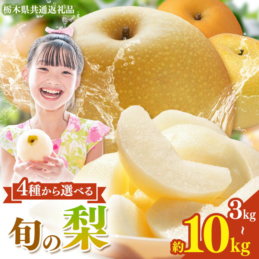 【ふるさと納税】栃木県産 梨 選べる 幸水 豊水 秋月 にっこり【2026年先行予約】| 3kg 5kg 10kg こうすい ほうすい あきづき なし ナシ 完熟 果物 フルーツ プレゼント ご褒美 お取り寄せ 贈答 おいしい ジューシー 数量 限定 栃木県共通返礼品 栃木県 真岡市 送料無料