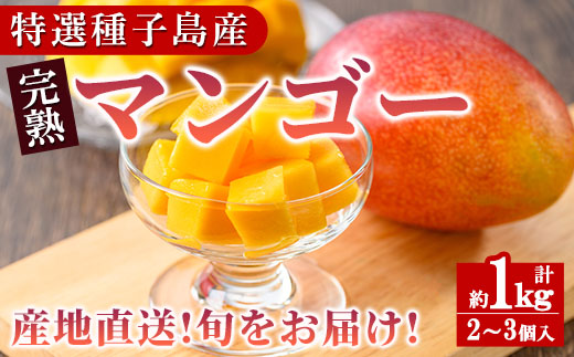 n257 【期間限定】＜先行予約受付中！2025年7月中旬～8月中旬の間に順次発送予定＞鹿児島県種子島産完熟マンゴー(1kg・2～3個入)【種子屋久農業協同組合】