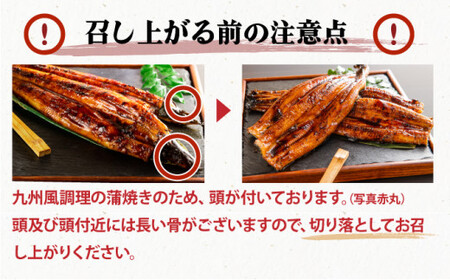 ≪2026年1月以降順次発送≫【数量限定】『国産』うなぎ蒲焼 2尾 計400g※一部配送不可地域あり B-1126