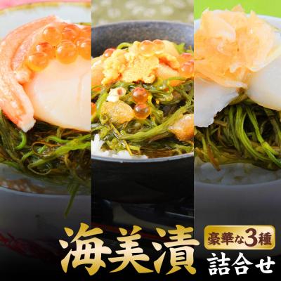 ふるさと納税 名取市 海美漬 豪華な 3種 詰合せ (6食分)ズワイガニ フカヒレ めかぶ|21_kis-010101