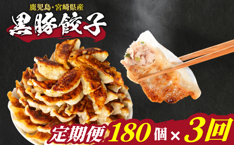 訳あり 黒豚餃子 3か月 180個 12個×15パック