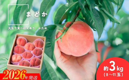 No.2992 福島県福島市産もも「まどか」約3kg(8～11玉)【2026年発送】